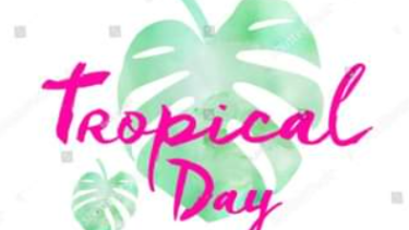 tropical day dress