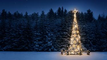 Christmas tree with white lights in a snowy field by a forest.