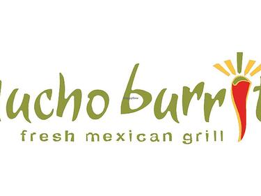 Mucho Burrito