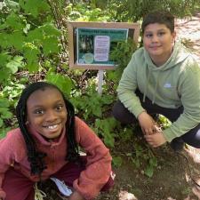 Students sitting next to an Indigenous Plant sign and learning about the plants